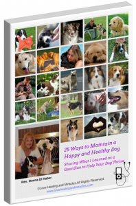 Happy & Healthy Dog Audio Book