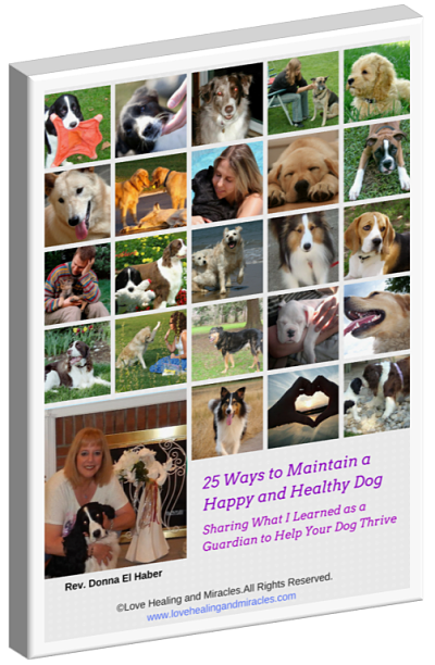 25 Ways to Maintain a Happy and Healthy Dog