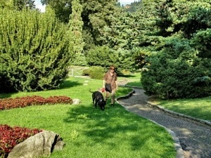 Woman in Park with Dog