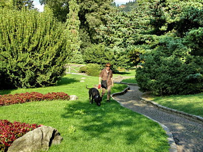 Woman with Dog in Park