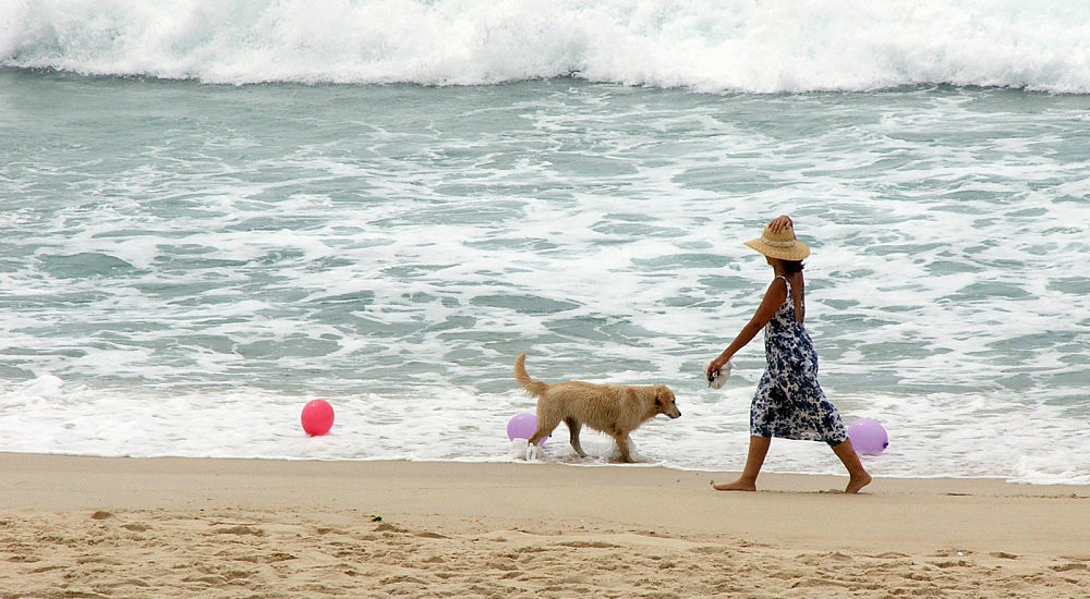 Woman on Beach with Dog
