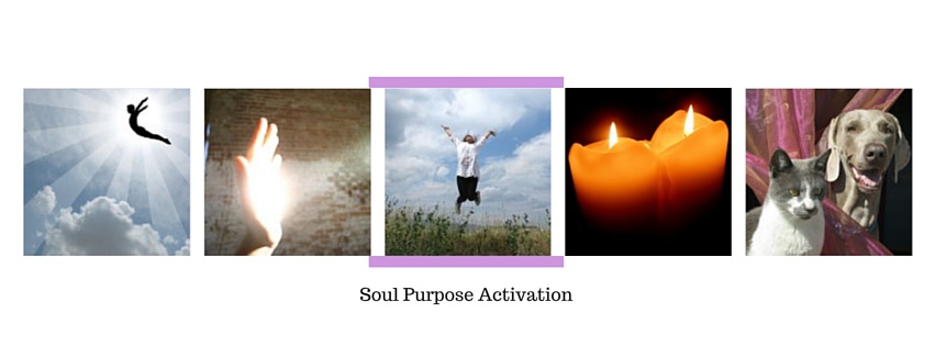 Soul Purpose Packages