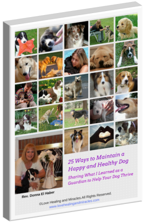 Pet E-book Cover