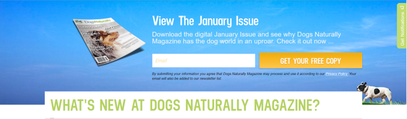 Dogs Naturally Magazine 