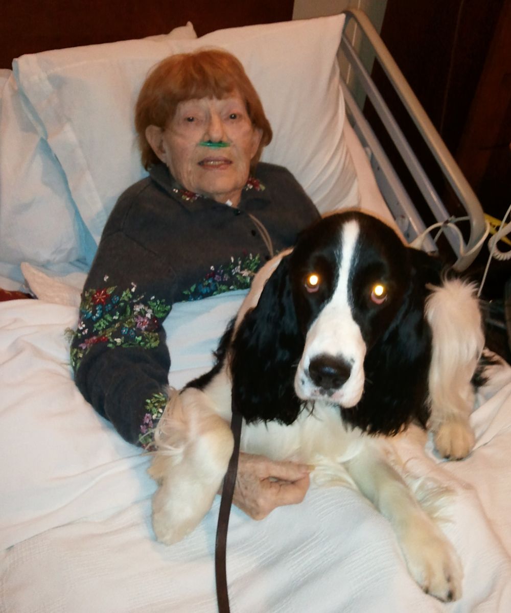 Harry and Ginger at the hospital